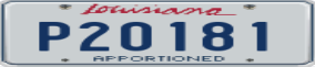 Truck License Plate