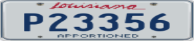 Truck License Plate
