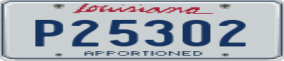 Truck License Plate