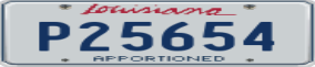 Truck License Plate