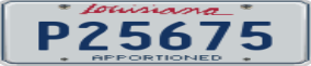 Truck License Plate