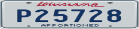 Truck License Plate