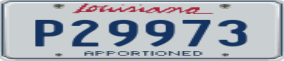 Truck License Plate