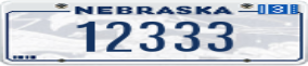 Truck License Plate