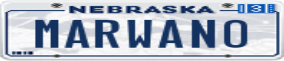 Truck License Plate