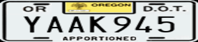 Truck License Plate