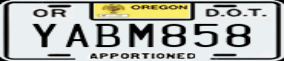 Truck License Plate