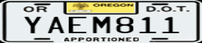Truck License Plate