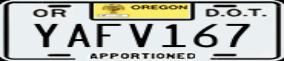 Truck License Plate