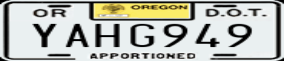 Truck License Plate