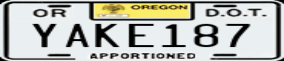 Truck License Plate