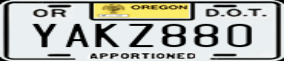 Truck License Plate