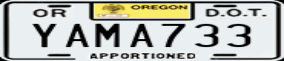Truck License Plate