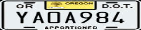 Truck License Plate