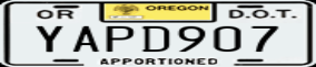Truck License Plate