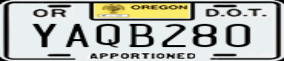 Truck License Plate