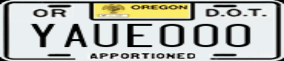 Truck License Plate