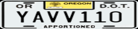 Truck License Plate
