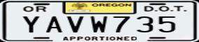Truck License Plate