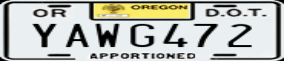 Truck License Plate