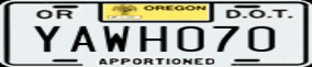 Truck License Plate