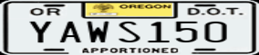 Truck License Plate
