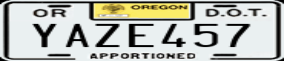 Truck License Plate