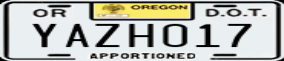 Truck License Plate