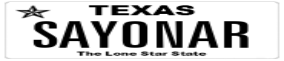 Truck License Plate