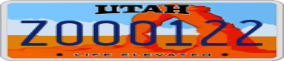 Truck License Plate