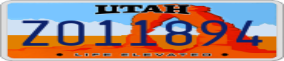 Truck License Plate