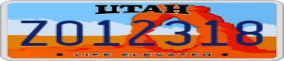 Truck License Plate