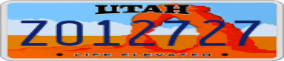 Truck License Plate