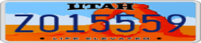 Truck License Plate