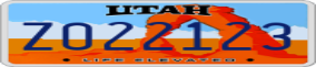 Truck License Plate