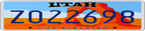 Truck License Plate