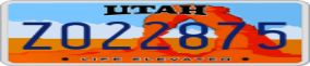 Truck License Plate