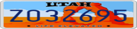 Truck License Plate