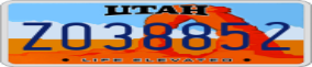 Truck License Plate