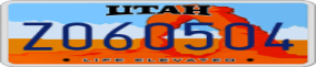 Truck License Plate