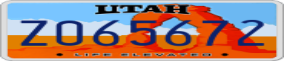 Truck License Plate