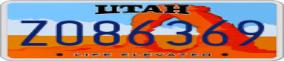 Truck License Plate
