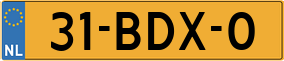 Truck License Plate