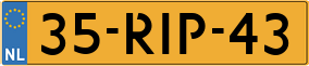Truck License Plate