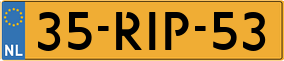 Truck License Plate