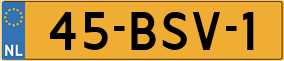 Truck License Plate