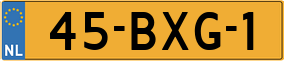 Truck License Plate
