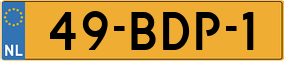 Truck License Plate