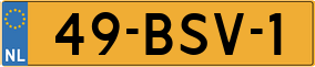 Truck License Plate