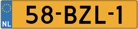 Truck License Plate